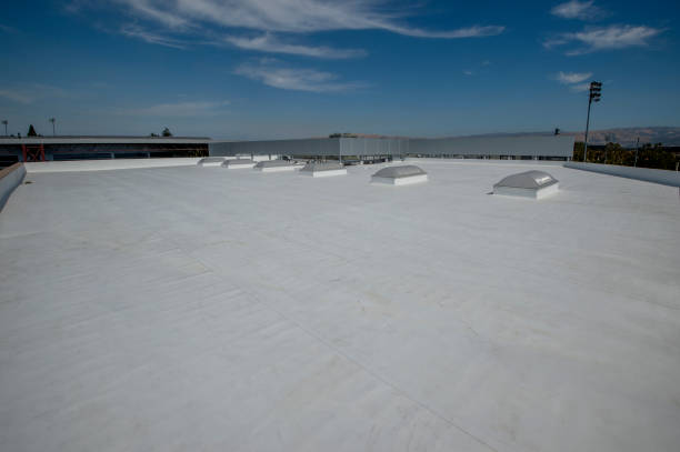 Best Roof Maintenance and Cleaning  in Elroy, NC