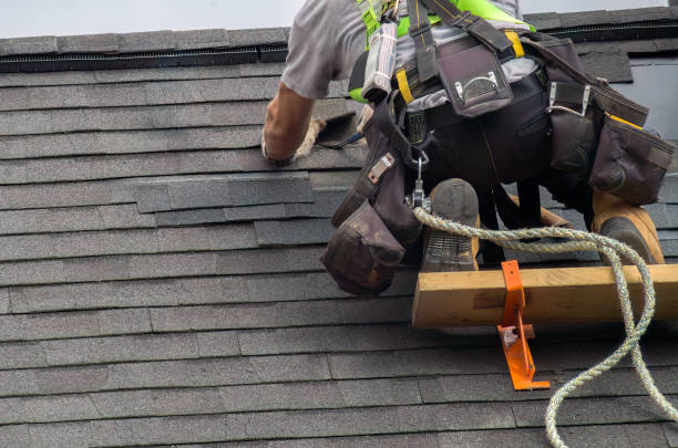 Best Roof Ventilation Installation  in Elroy, NC